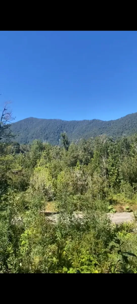 Parcea 5.000mtrs, condominio Bosque andino,Puerto Montt. — foto 5