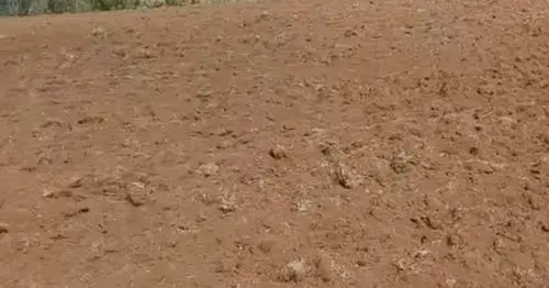 25 hectáreas región de la Araucanía 