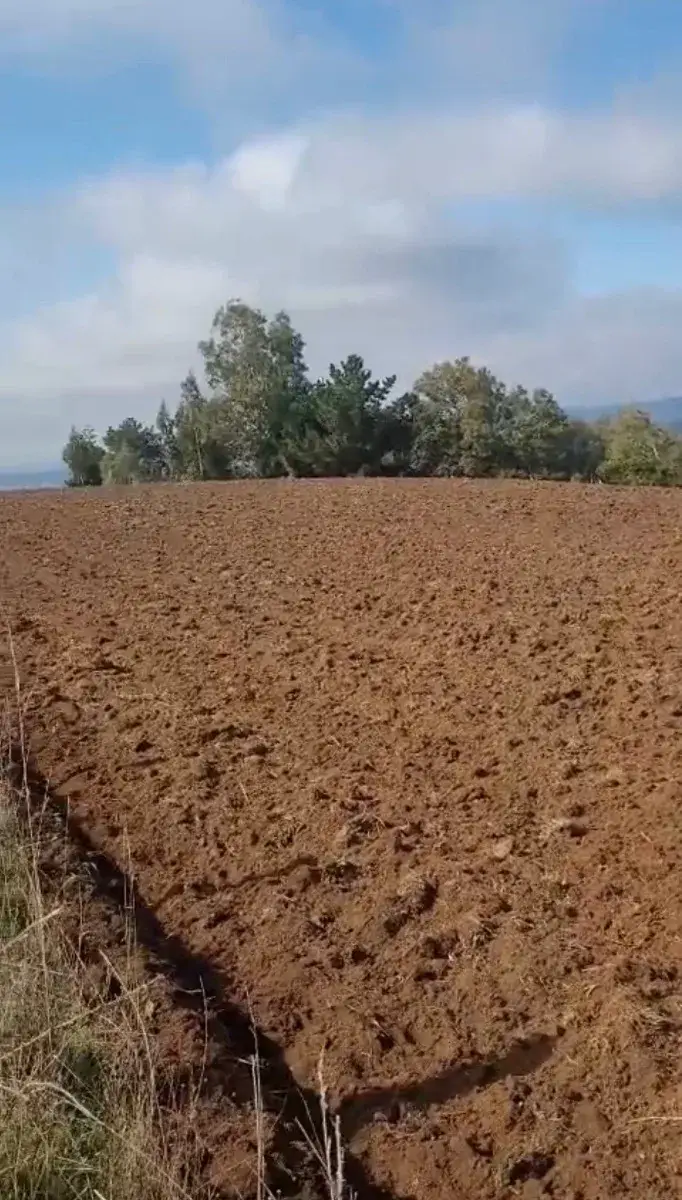 25 hectáreas región de la Araucanía