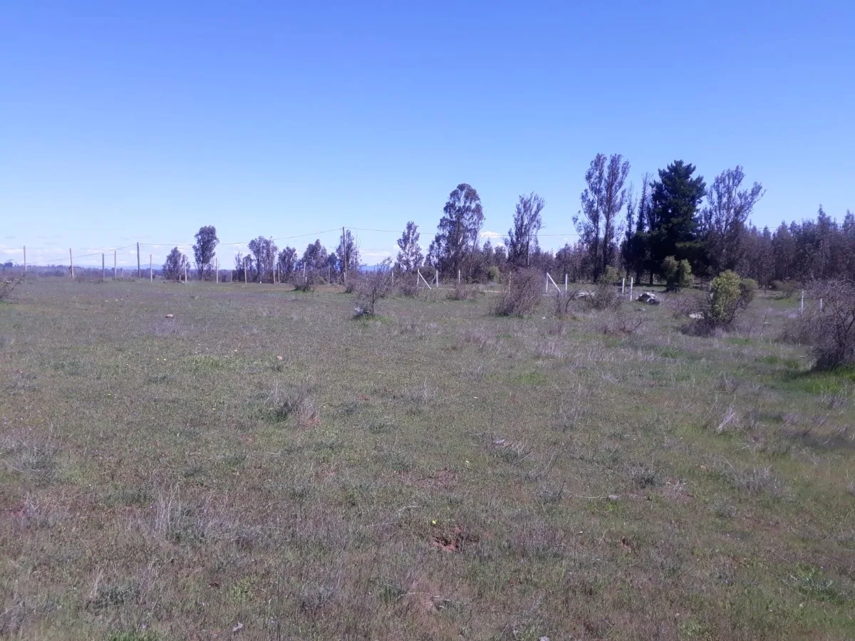 Parcela 5000 m2 — foto 3
