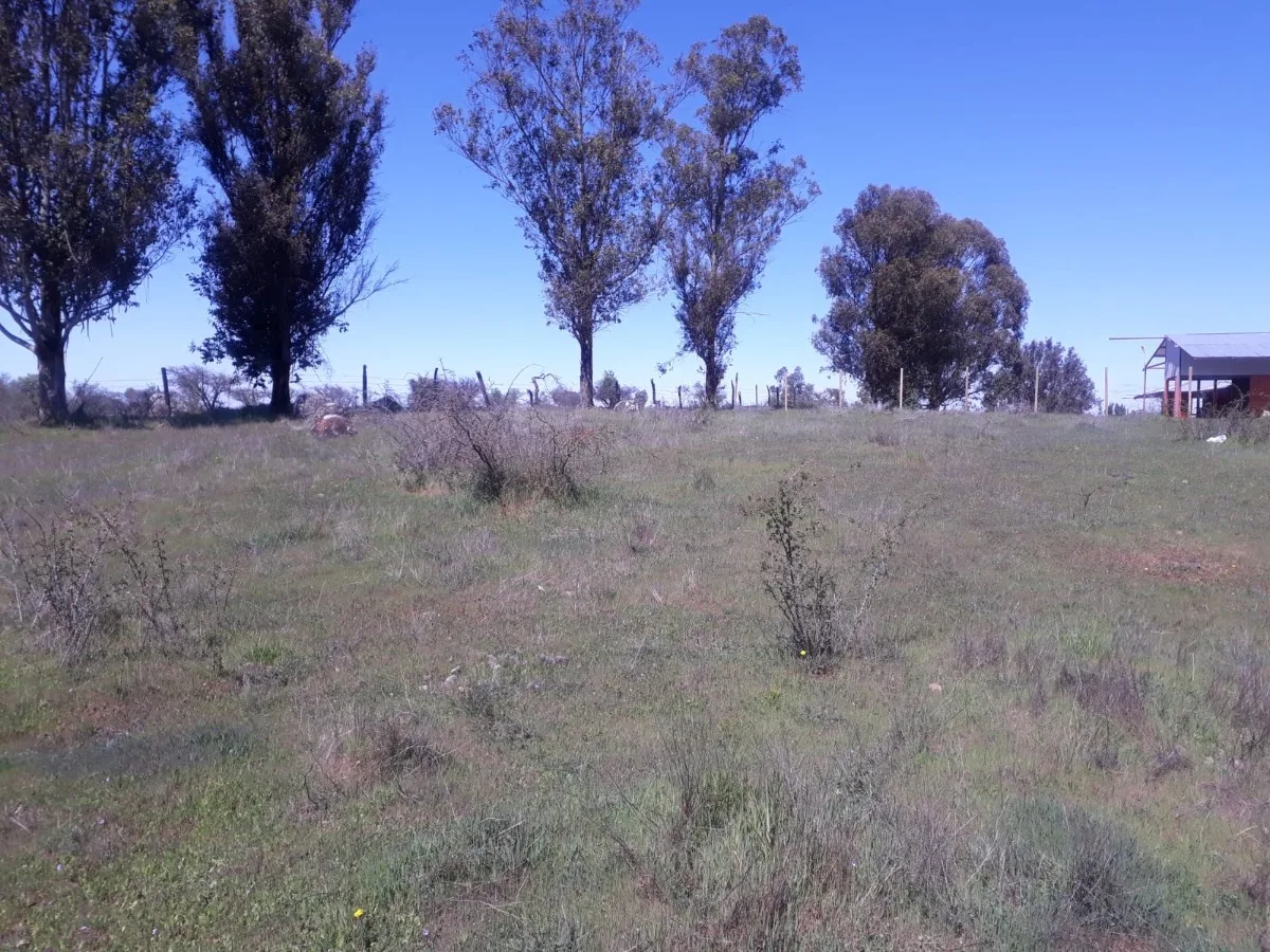 Parcela 5000 m2 — foto 2