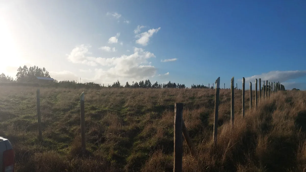 Parcela en Pangueco 5000m2   — foto 4