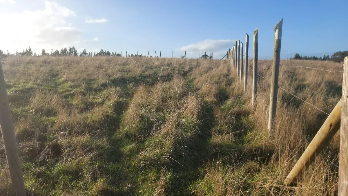 Parcela en Pangueco 5000m2   — foto 2