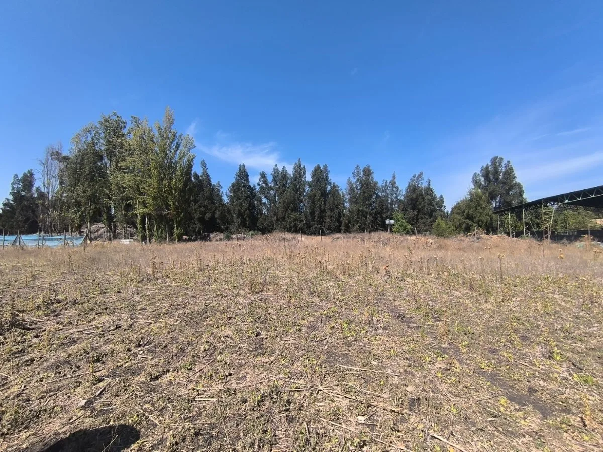 Parcela 5009 m2 isla de Maipo — foto 5