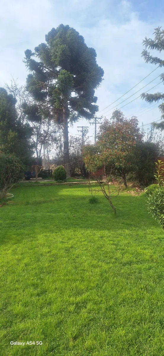 PARCELA CON CASA — foto 2