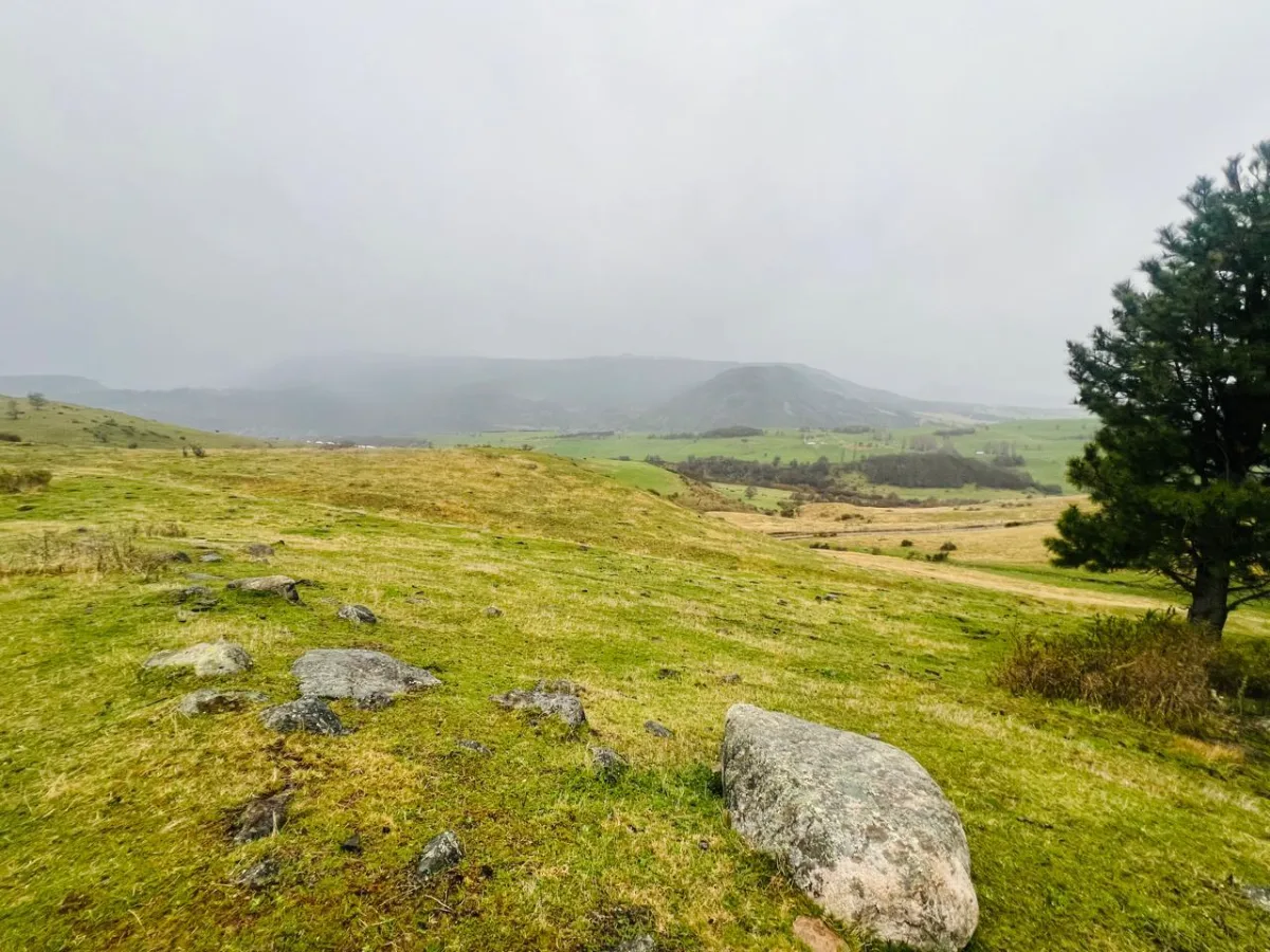 Parcelas de 5000 m2  — foto 4