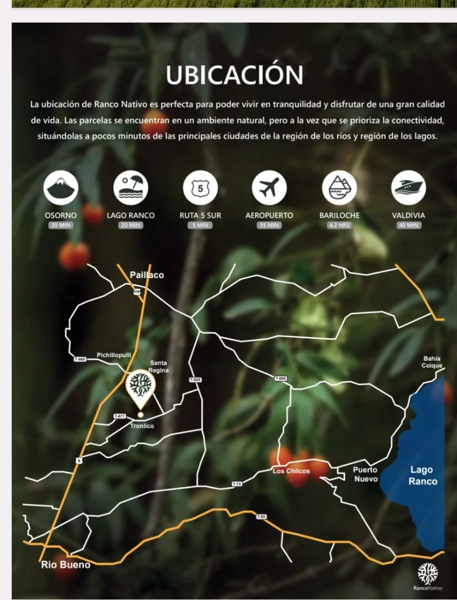 Parcela 5000mts en Paillaco — foto 5