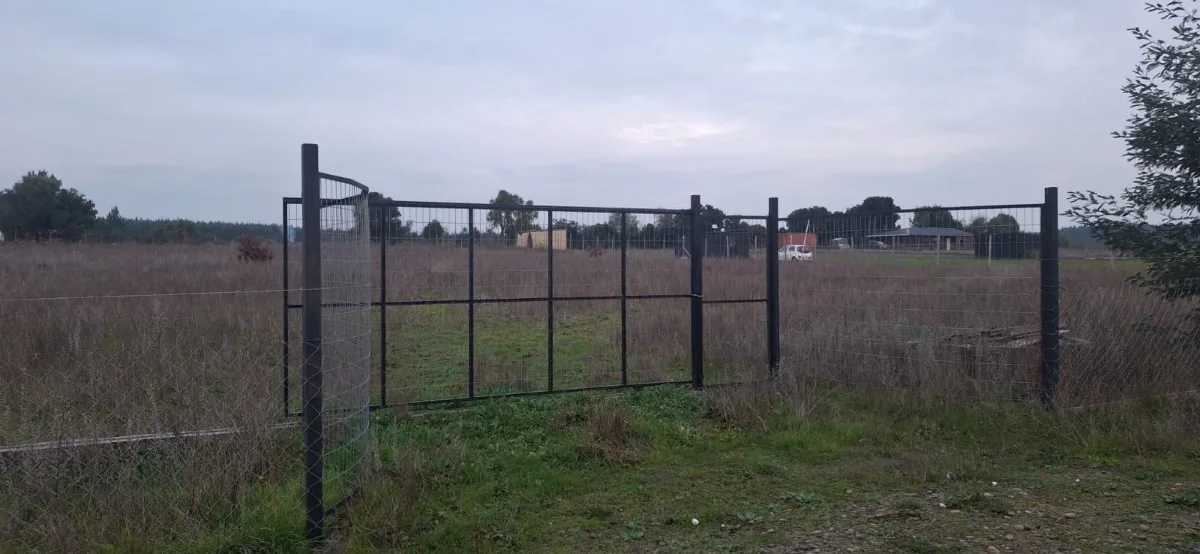 Parcela 5.000 M2 en región de Ñuble sector Boyén  — foto 3