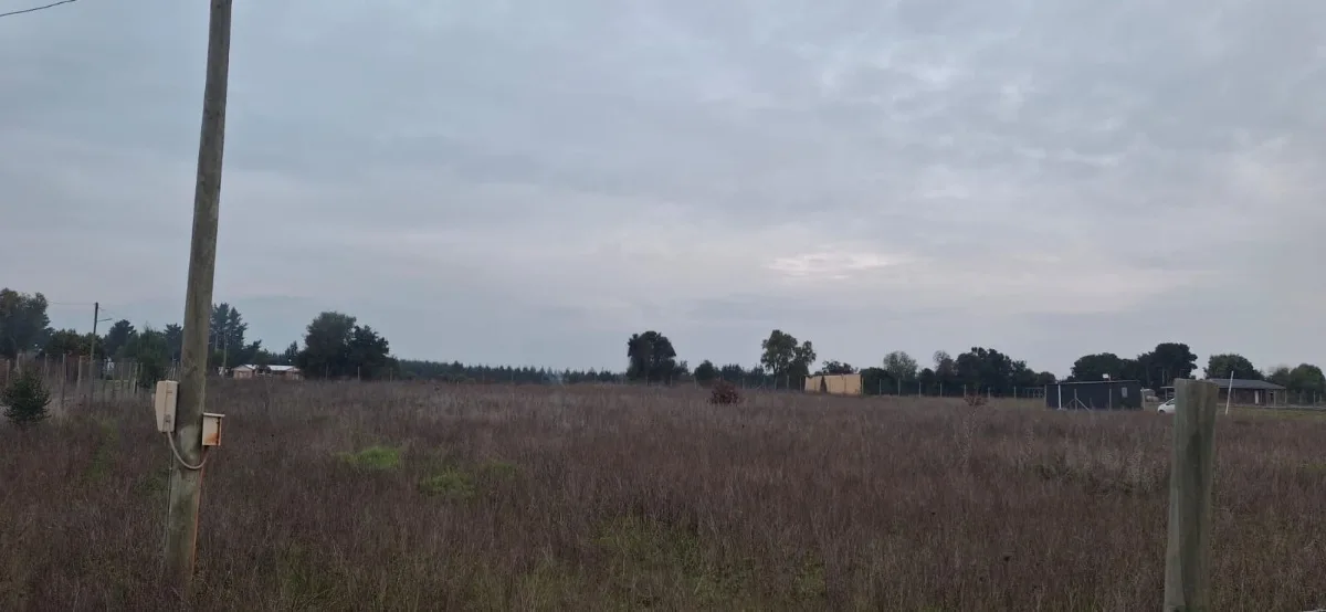 Parcela 5.000 M2 en región de Ñuble sector Boyén  — foto 5