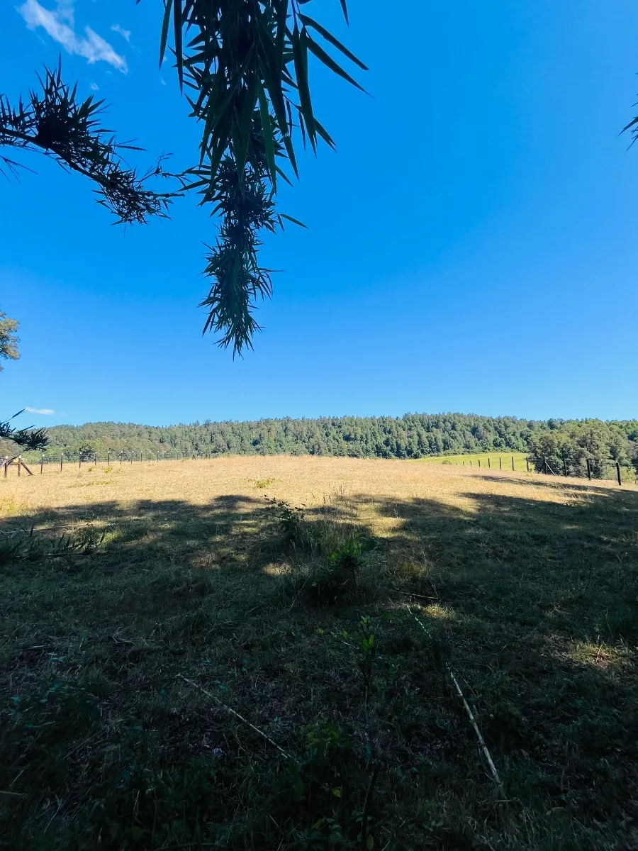 Parcelas Los Lagos - Panguipulli  — foto 4