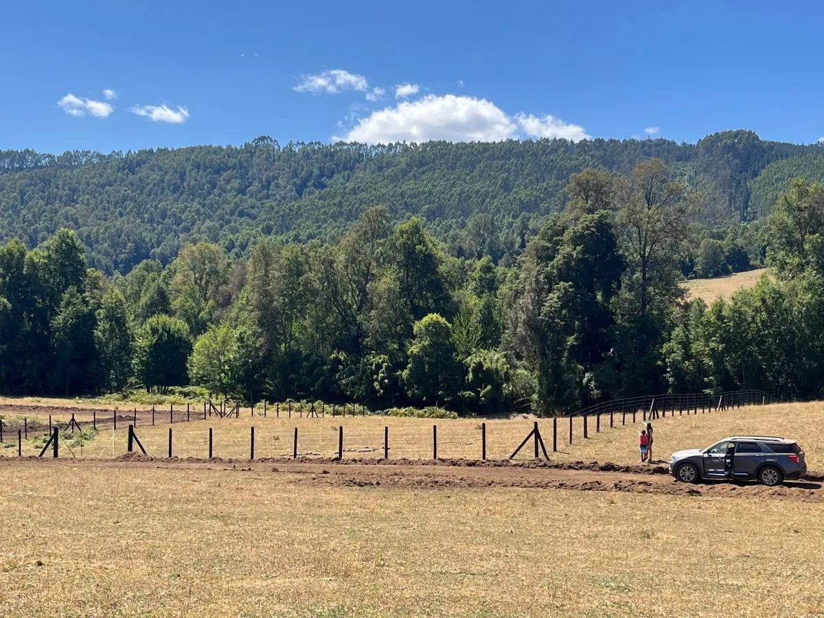 Parcelas Los Lagos - Panguipulli  — foto 5