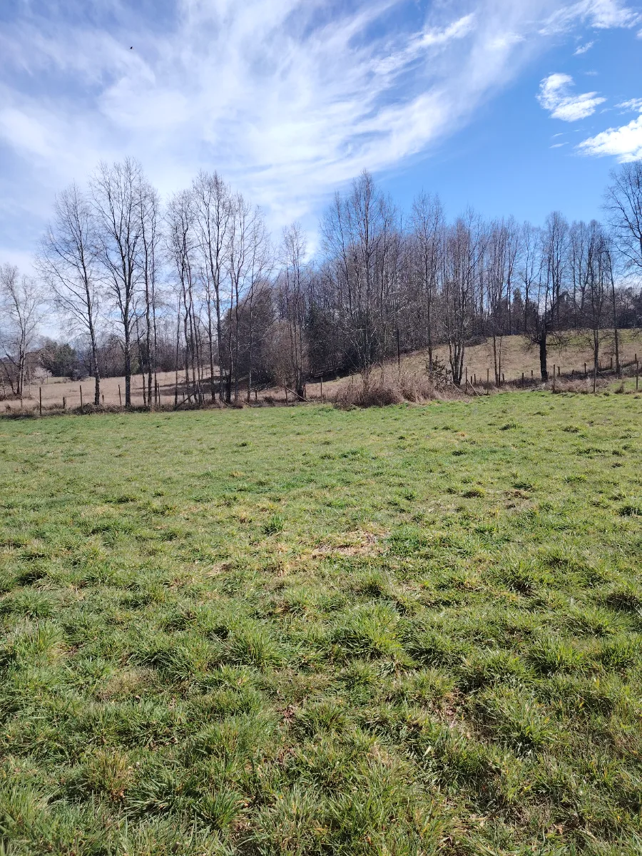 5000m2 nancahue a 20 minutos de villarrica. — foto 4
