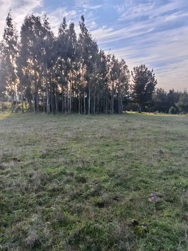 Parcela de 45000m2 ubicada en Temuco comuna de Galvarino