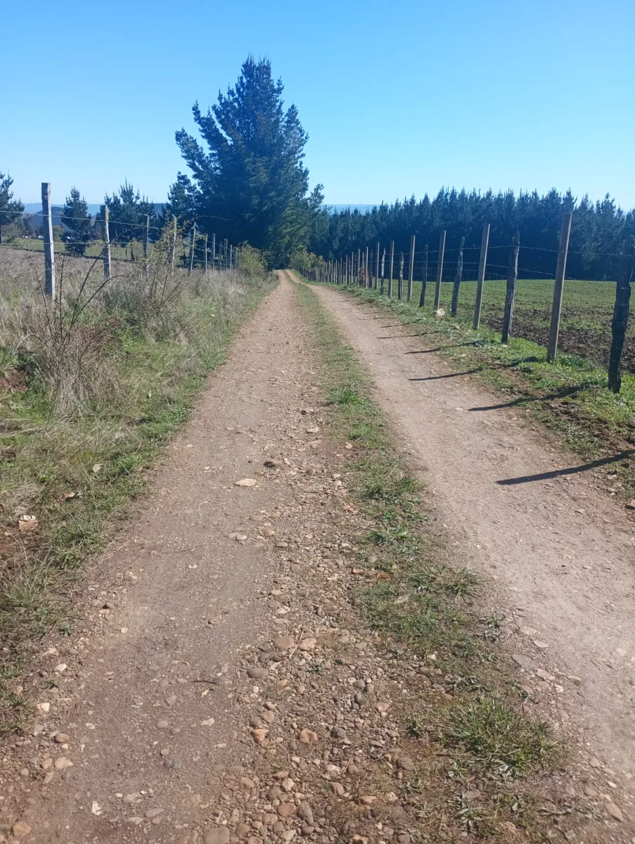 Parcela de 45000m2 ubicada en Temuco comuna de Galvarino — foto 2