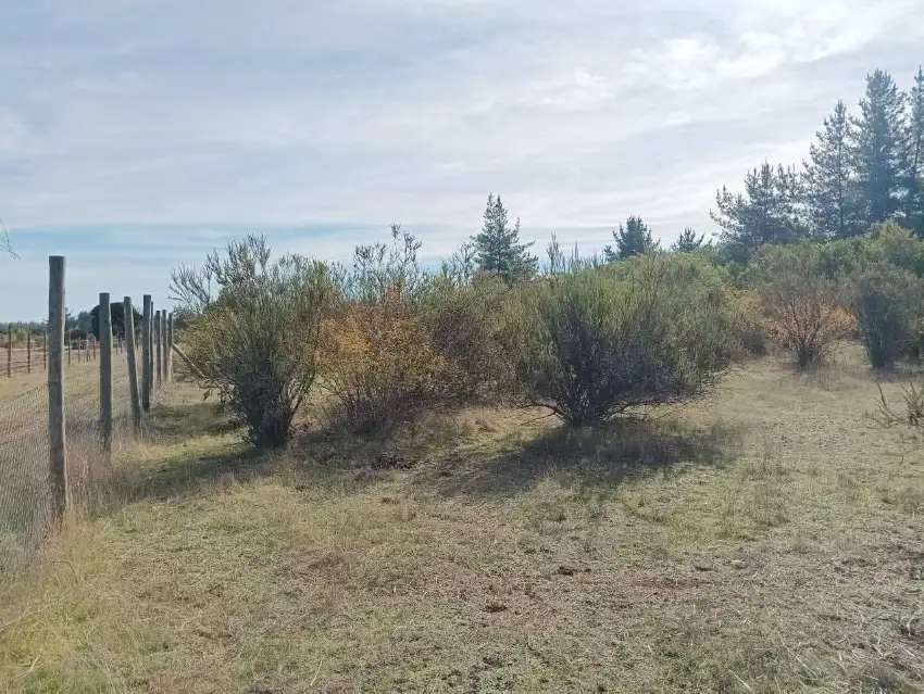 Terreno Parral, Lomas de Machicura 5.000 m² ($conversable)