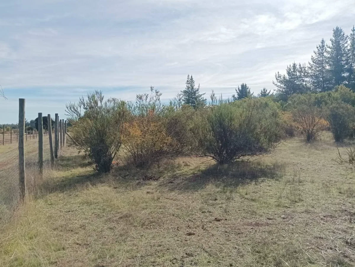 Terreno Parral, Lomas de Machicura 5.000 metros — foto 2