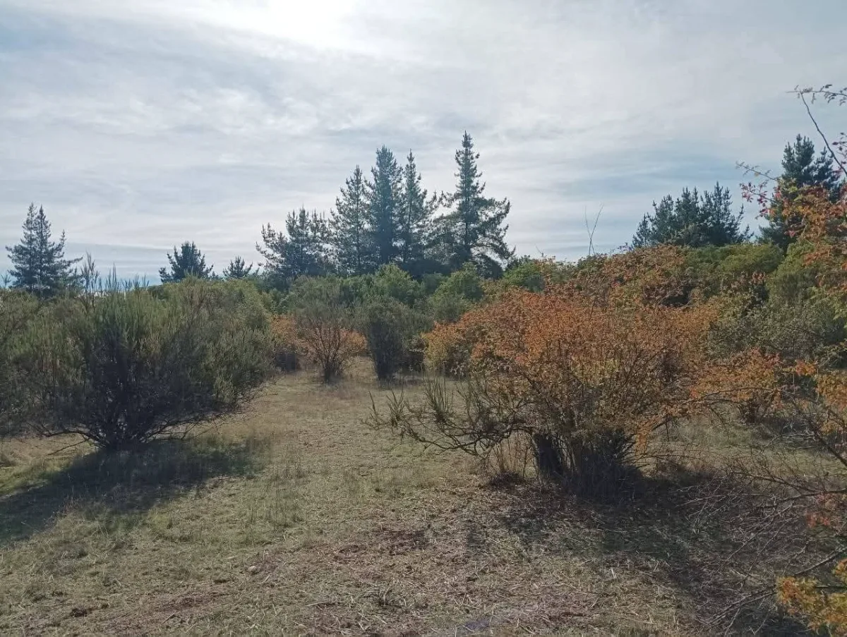 Terreno Parral, Lomas de Machicura 5.000 metros — foto 3