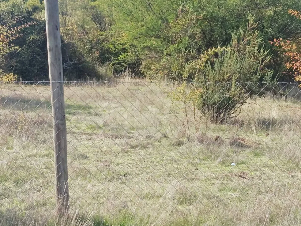 Terreno Parral, Lomas de Machicura 5.000 metros — foto 5