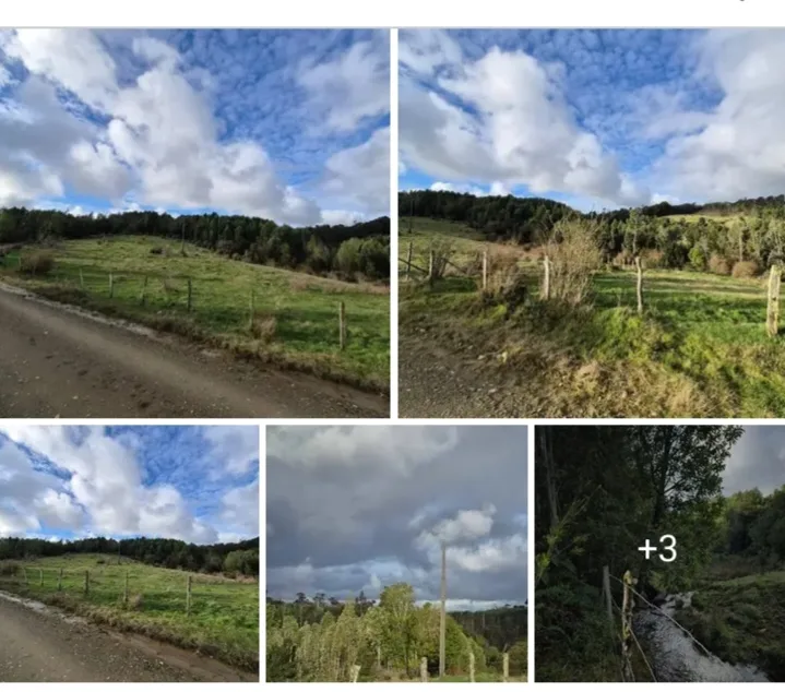 Parcela de 5000m2 en Los Muermos Región de Los Lagos
