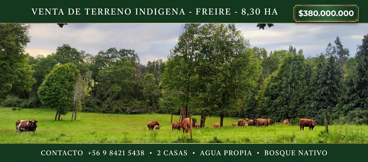 VENTA TERRENO INDIGENA  8.30 HA. FREIRE IX REGIÓN  — foto 2