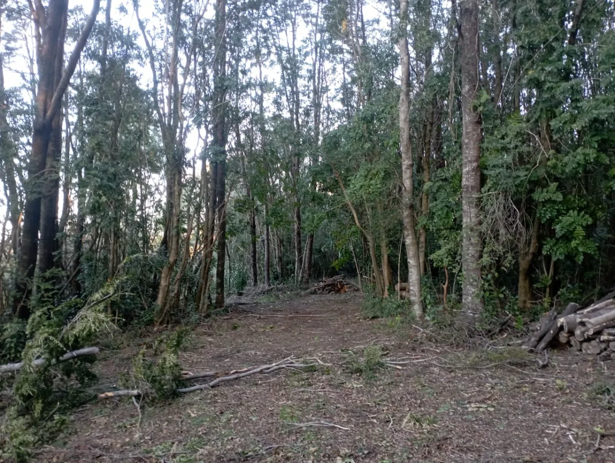 Pucón chile  — foto 6
