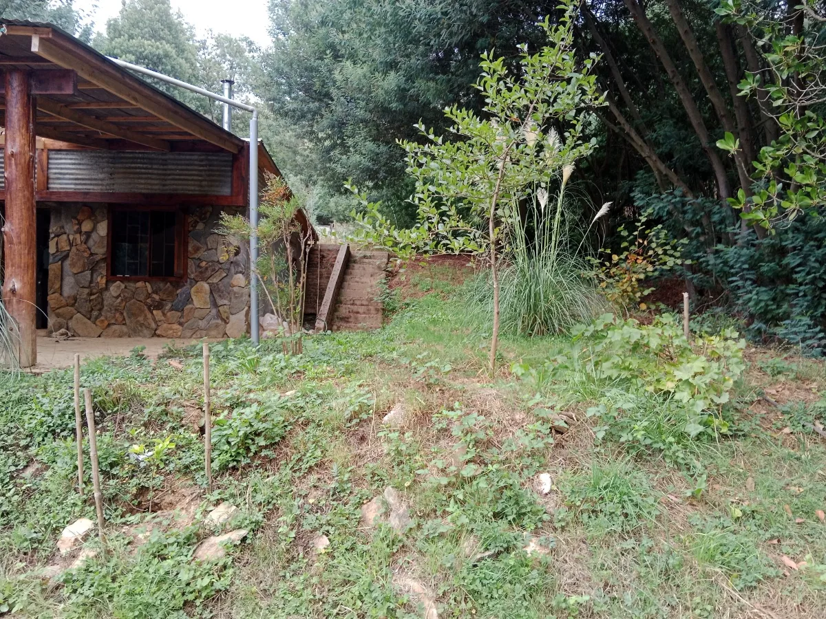 Vendo Parcela con Rio Sector Guamaqui Galvarino — foto 3