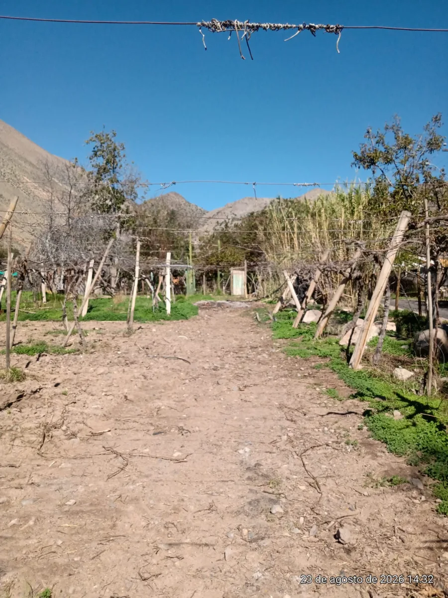 TERRENO AGRÍCOLA EN VENTA PERALILLO, VICUÑA  — foto 7