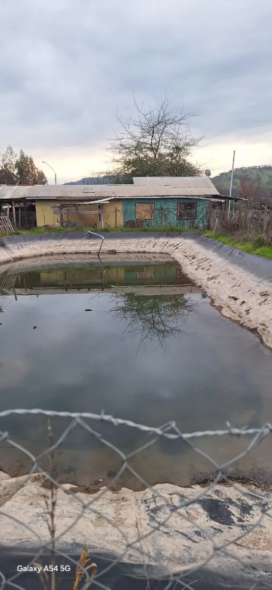 Terreno 1ha con casa y huerta de arándanos — foto 2