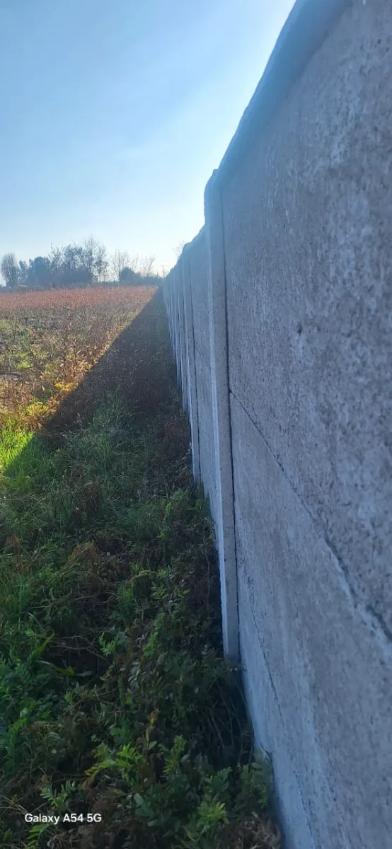 Terreno 1ha con casa y huerta de arándanos — foto 3