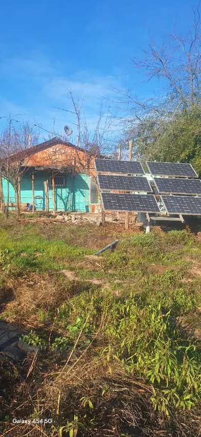 Terreno 1ha con casa y huerta de arándanos