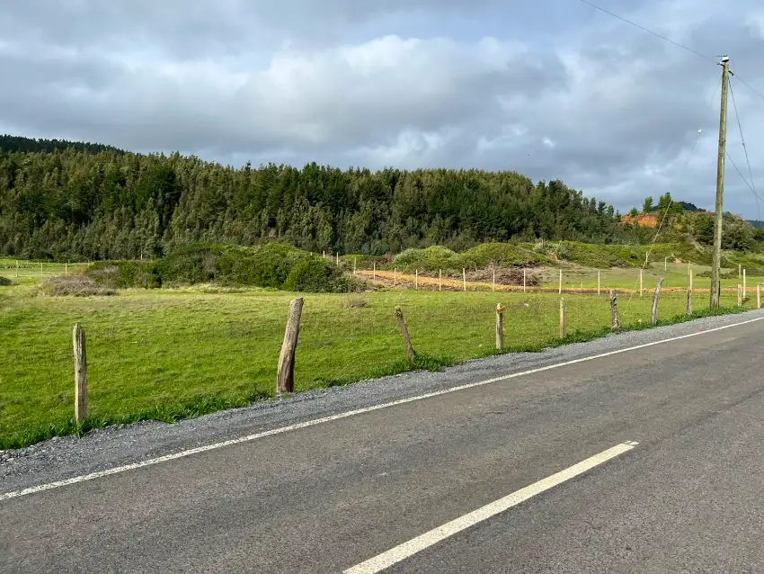 Terreno en Venta – Sector Nogueche, Cobquecura (Km 12 Sur)