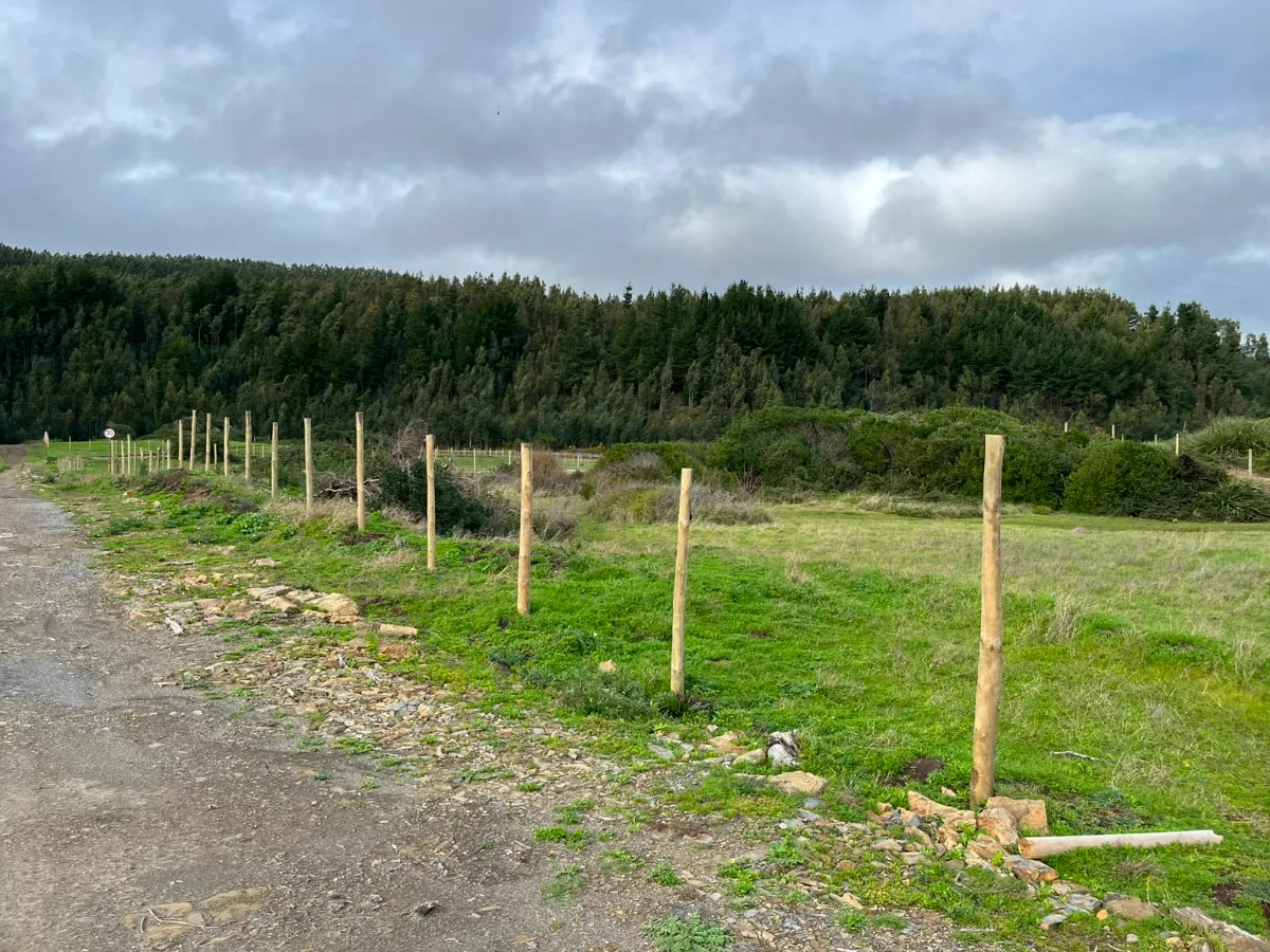 Terreno en Venta – Sector Nogueche, Cobquecura (Km 12 Sur) — foto 3