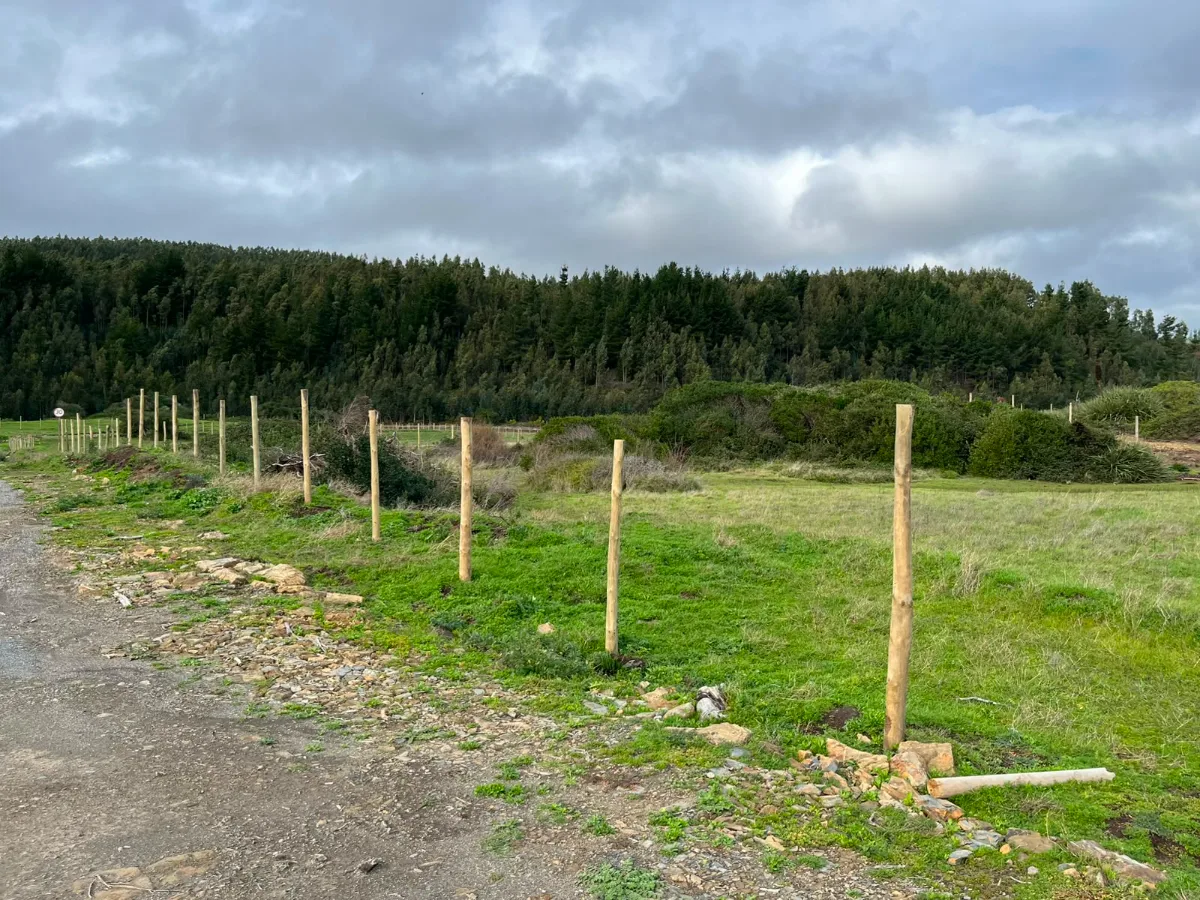 Terreno en Venta – Sector Nogueche, Cobquecura (Km 12 Sur) — foto 4