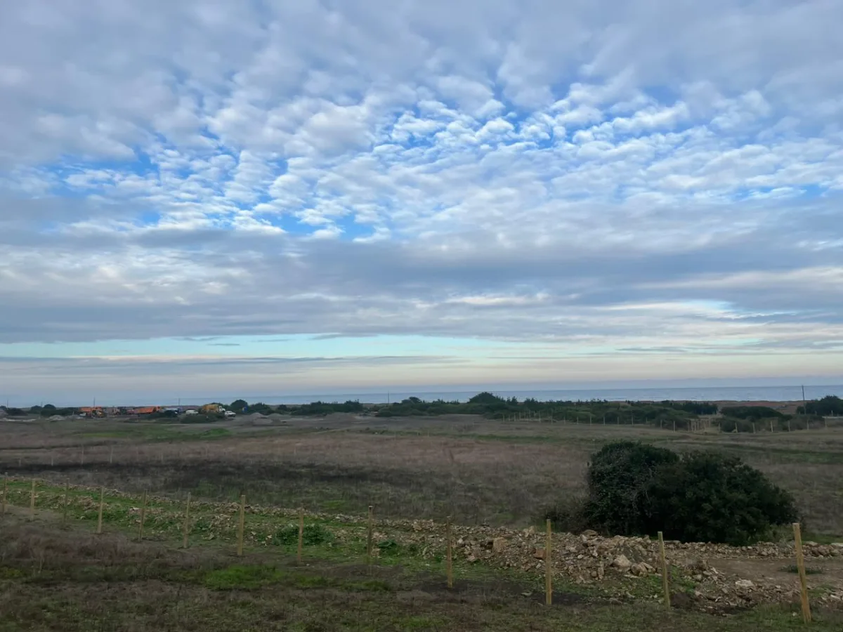 Terreno en Venta – Sector Nogueche, Cobquecura (Km 12 Sur) — foto 6