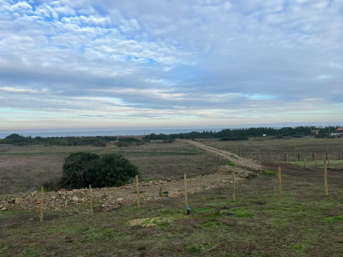 Terreno en Venta – Sector Nogueche, Cobquecura (Km 12 Sur) — foto 7