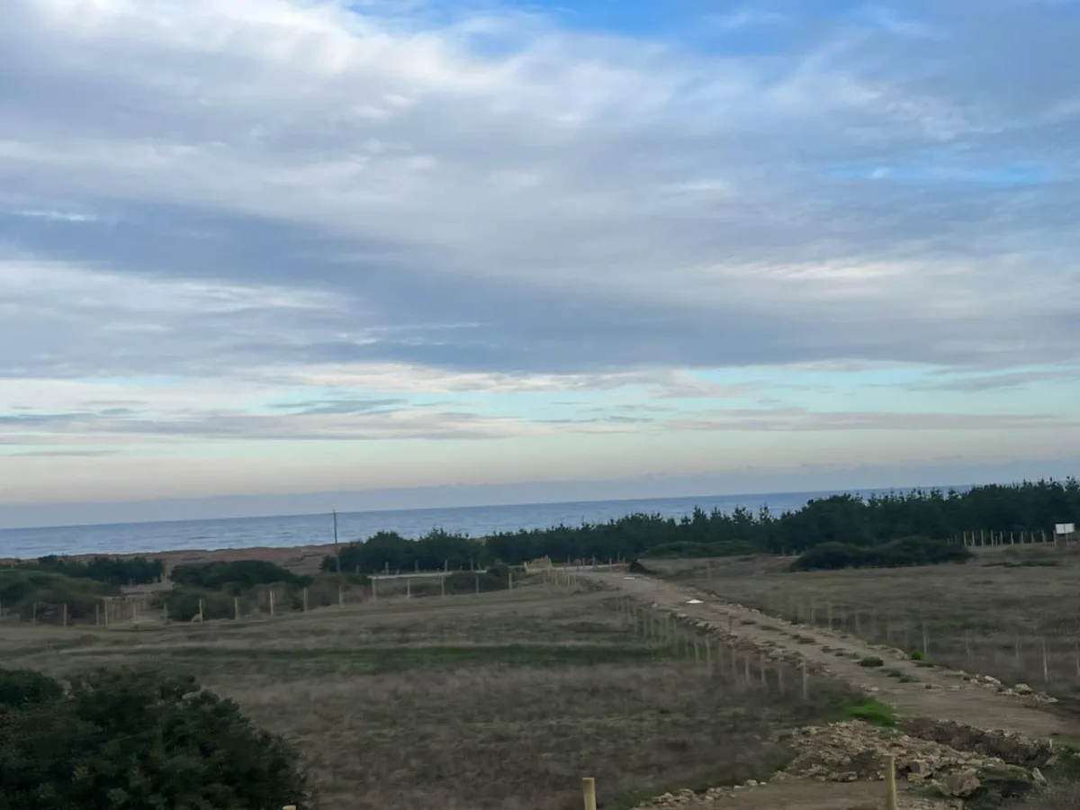 Terreno en Venta – Sector Nogueche, Cobquecura (Km 12 Sur) — foto 8