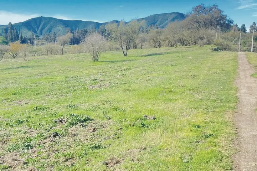 Parcelas desde 5000 M2, con Rol propio, a 12 Km de Melipilla