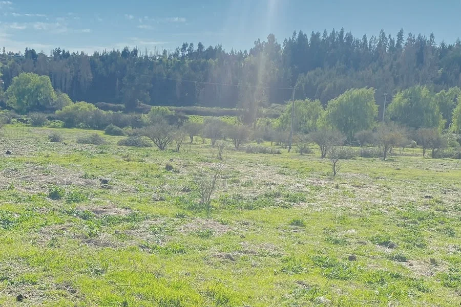 Parcelas desde 5000 M2, con Rol propio, a 12 Km de Melipilla — foto 3