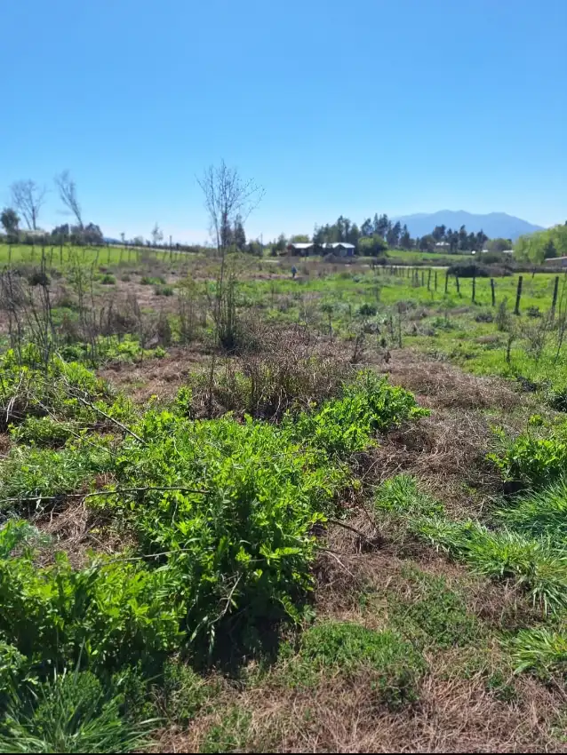 Se vende Parcela con Rol Propio