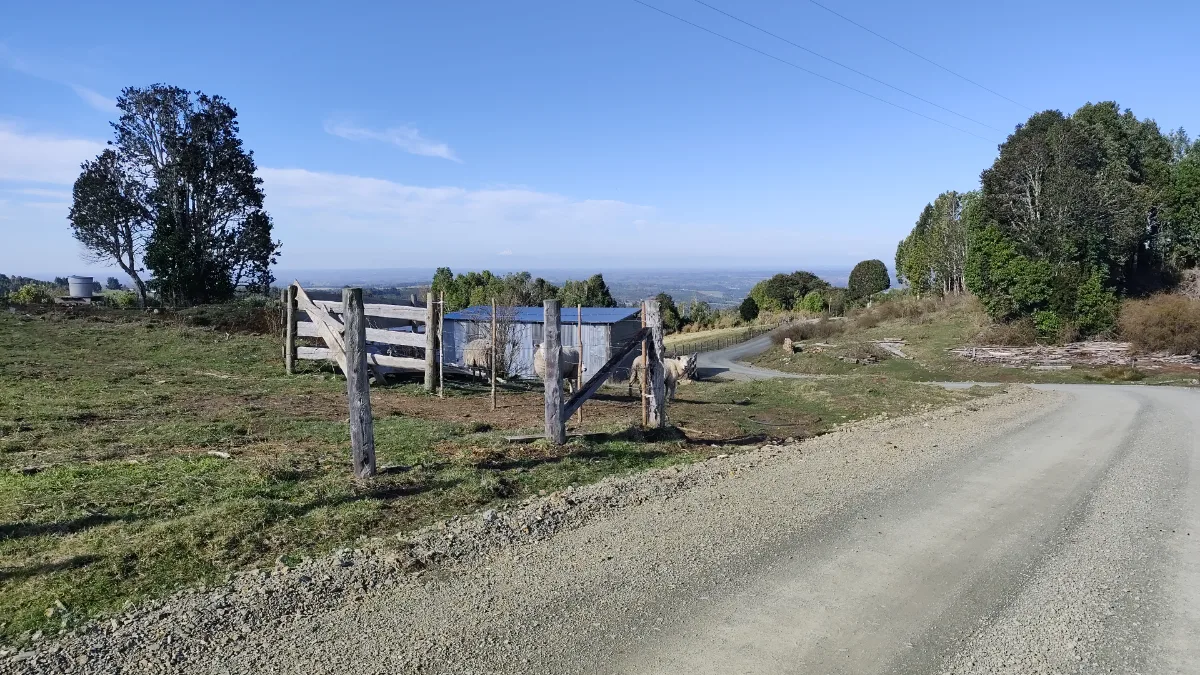 Campo precordillerano sector el Mañio comuna de fresia  — foto 8