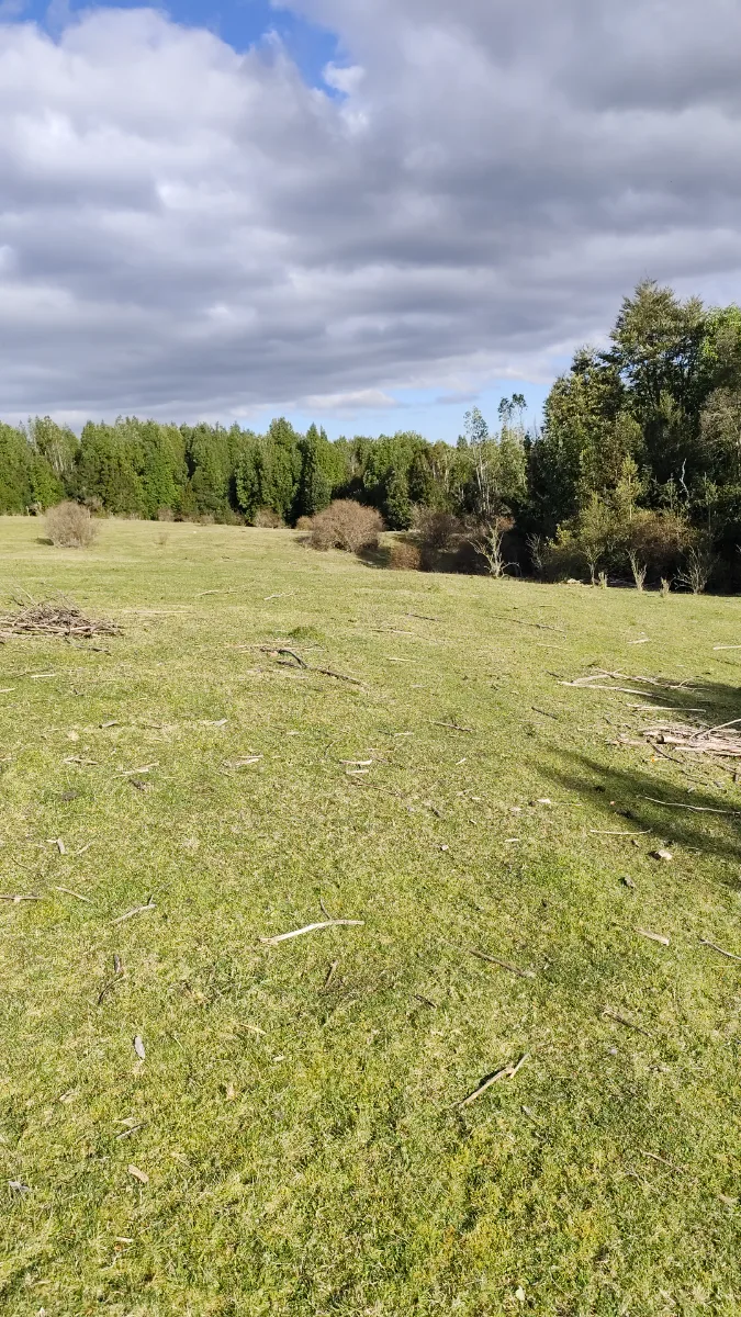 Campo precordillerano sector el Mañio comuna de fresia  — foto 6