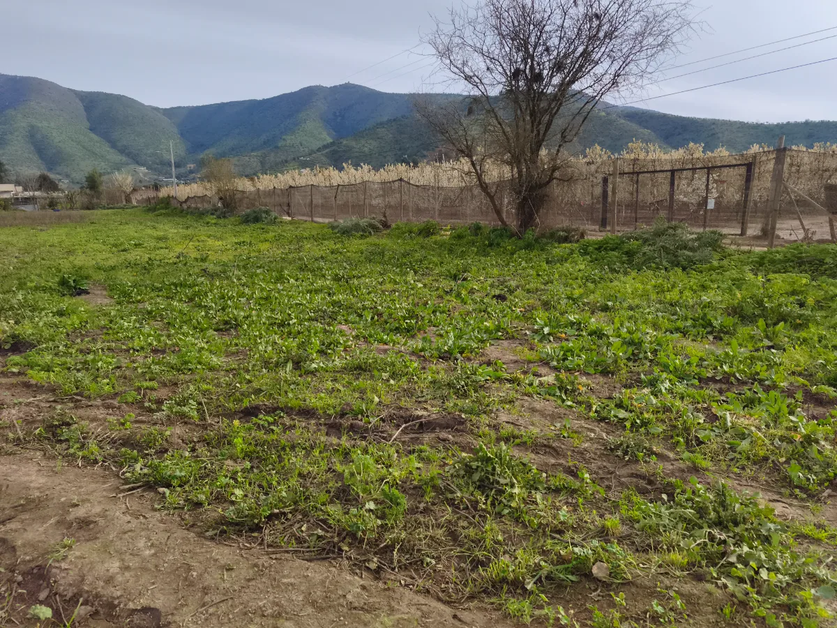 Sitio en callejón la encina manantiales, melipilla  — foto 4