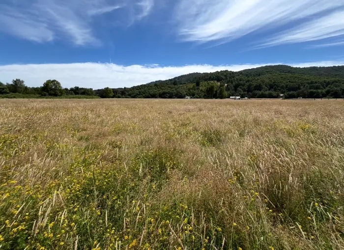 Parcela 5.000m2 Loncoche 