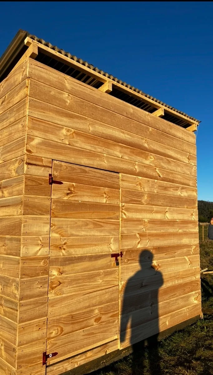 Parcela 5.000m2 Loncoche  — foto 4