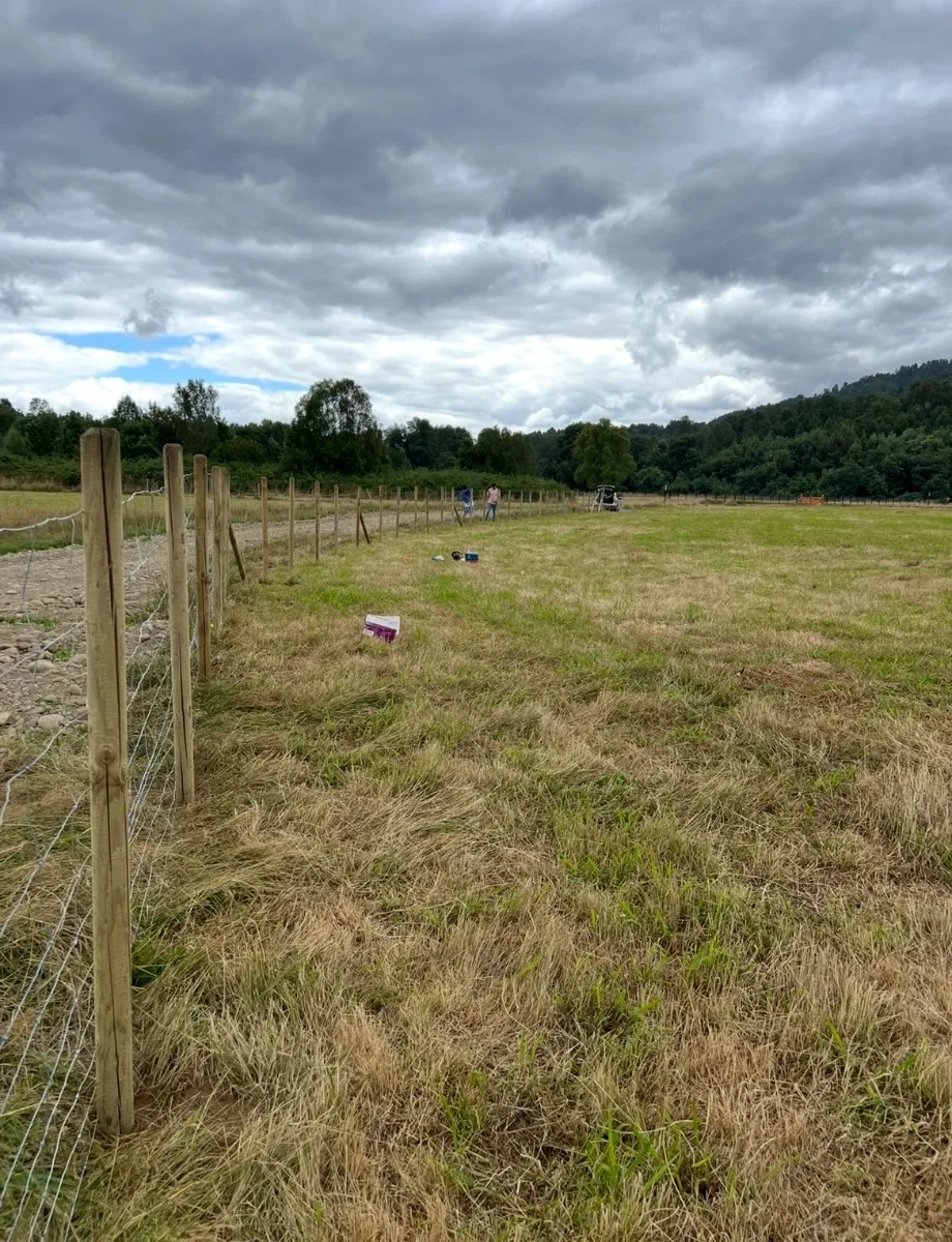 Parcela 5.000m2 Loncoche  — foto 2