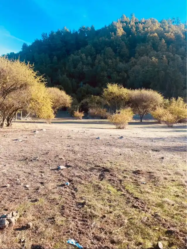 TERRENO 5.000 M² EN PEJERREY, LINARES 