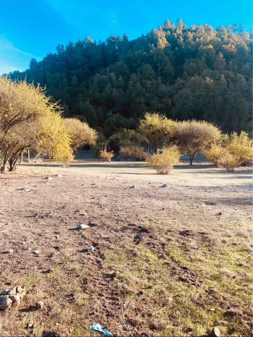 TERRENO 5.000 M² EN PEJERREY, LINARES  — foto 1