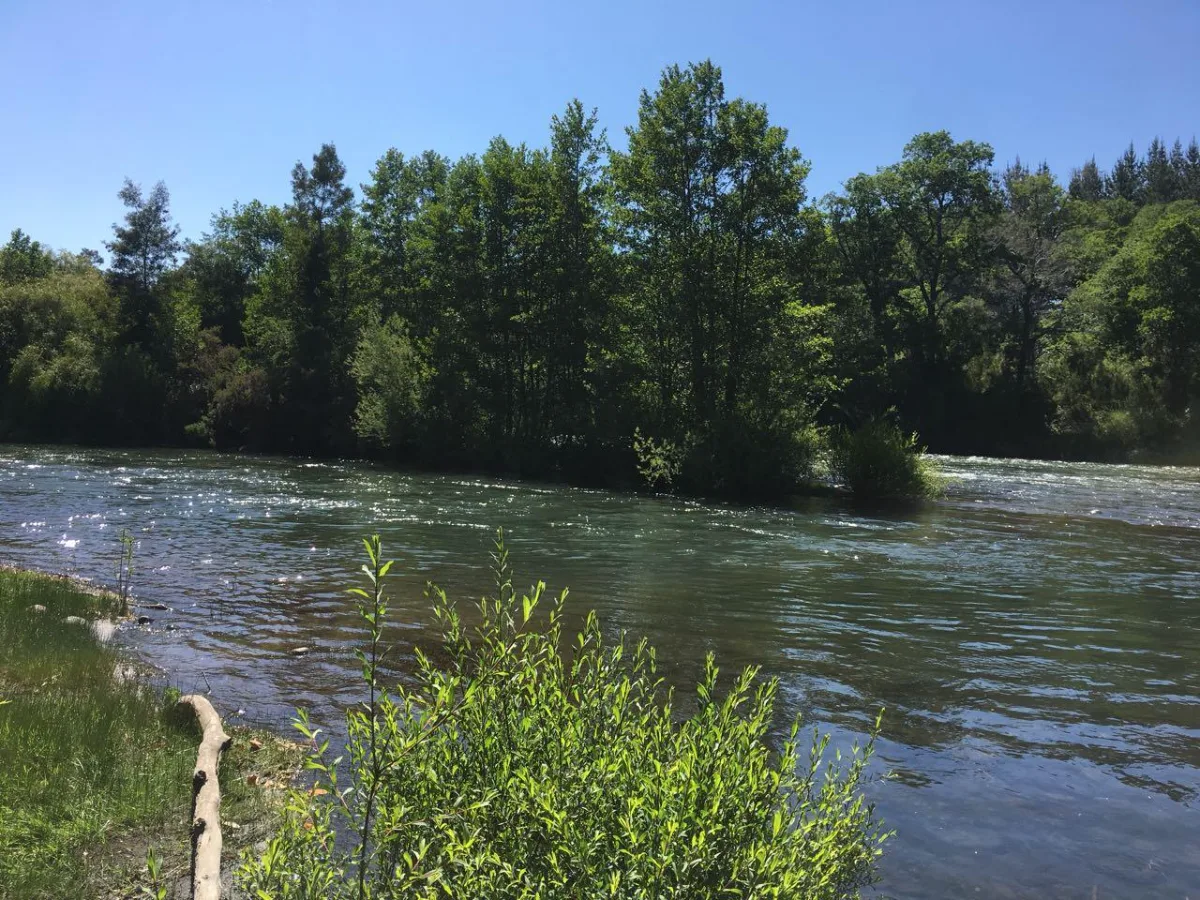 TERRENO 2,5 HECTÁREAS CON RIBERA AL RÍO CAUTÍN — foto 1