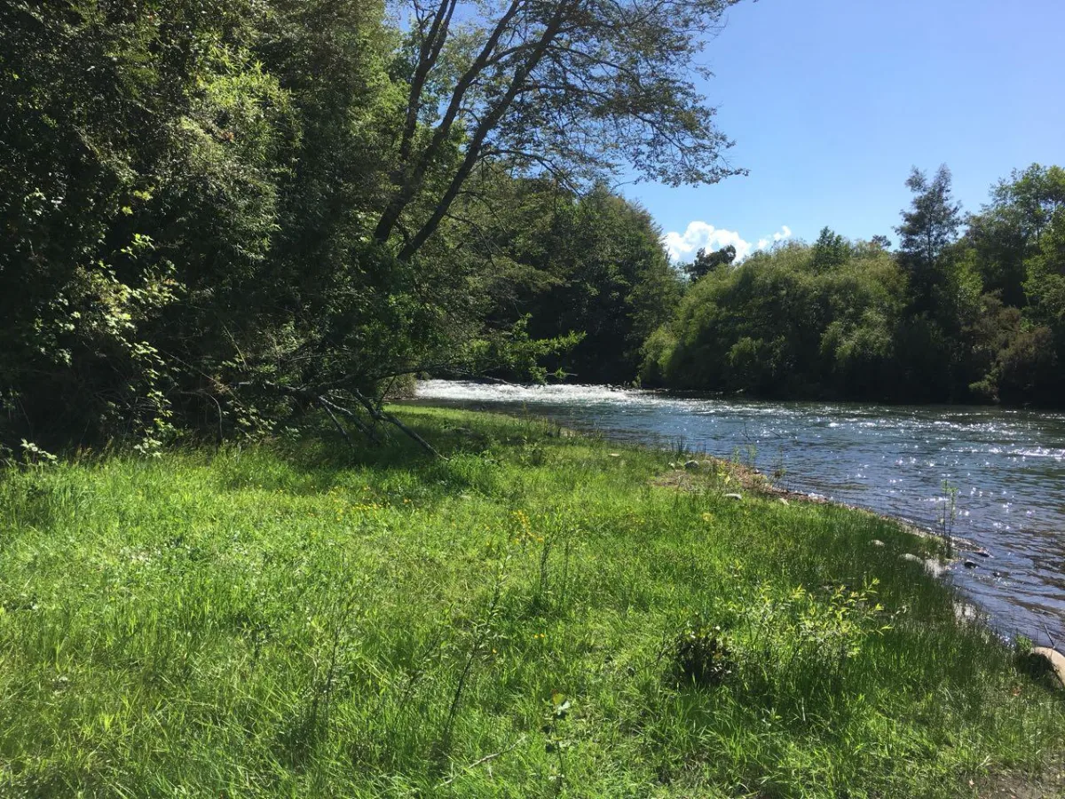 TERRENO 2,5 HECTÁREAS CON RIBERA AL RÍO CAUTÍN — foto 3