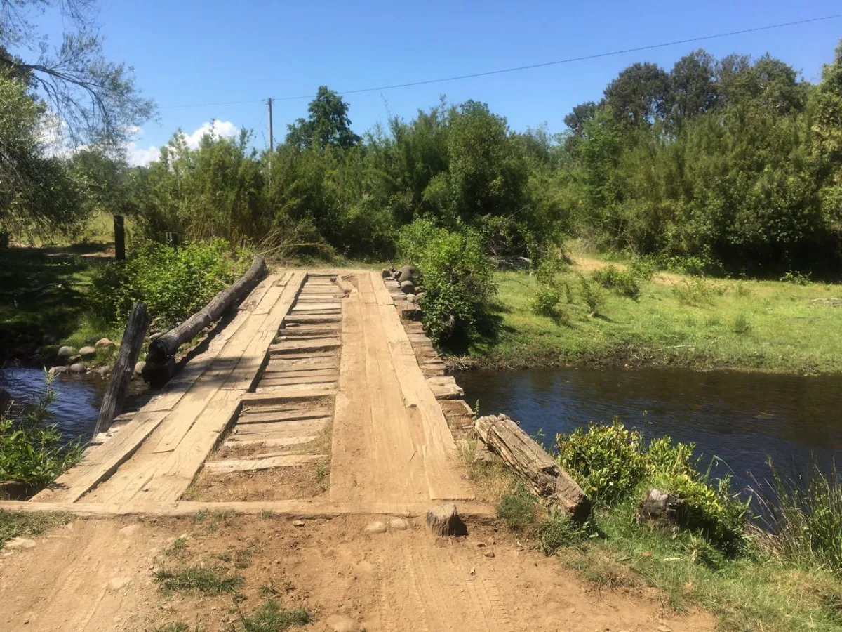 TERRENO 2,5 HECTÁREAS CON RIBERA AL RÍO CAUTÍN — foto 7